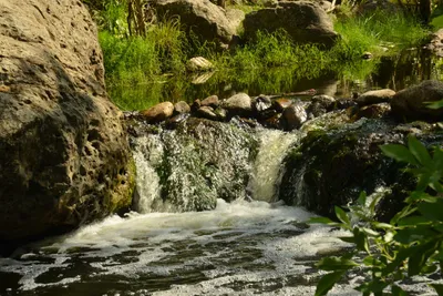 DSC_6369 (Large).JPG